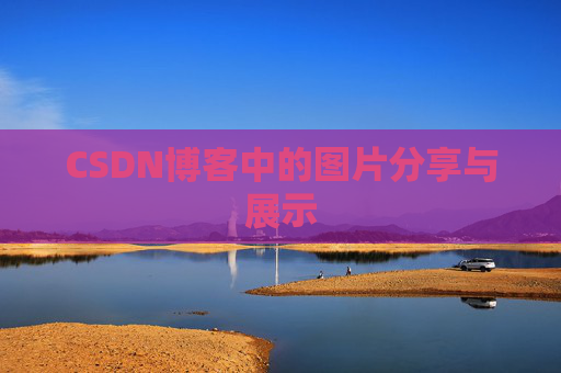 CSDN博客中的图片分享与展示